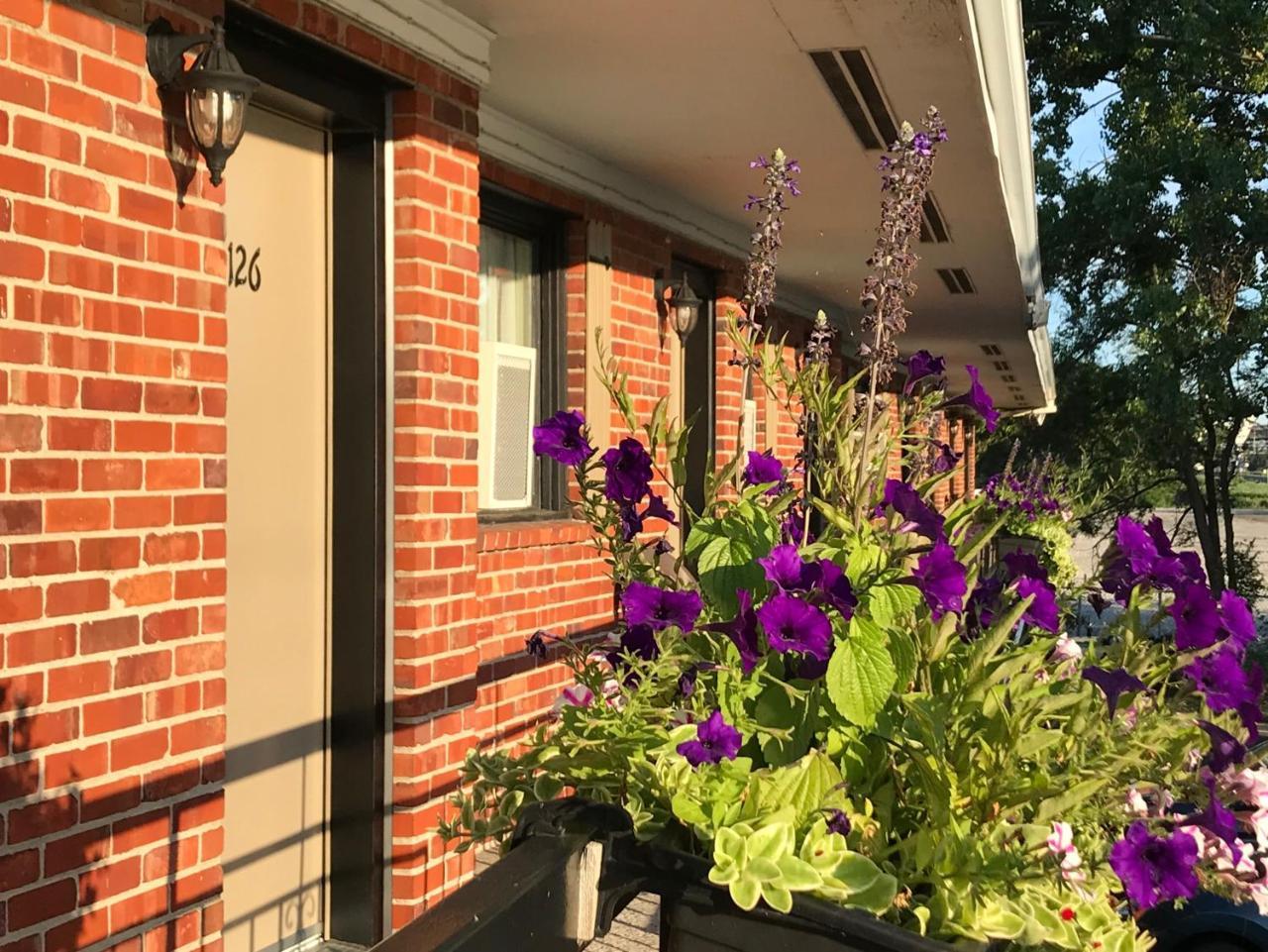 Motel Du Fleuve Brossard Eksteriør billede